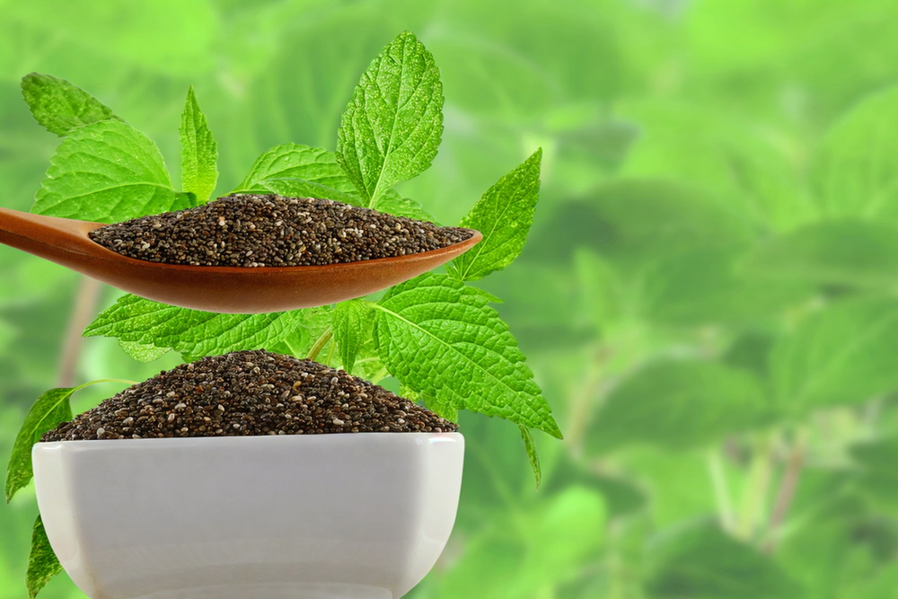 Chia Seeds Background